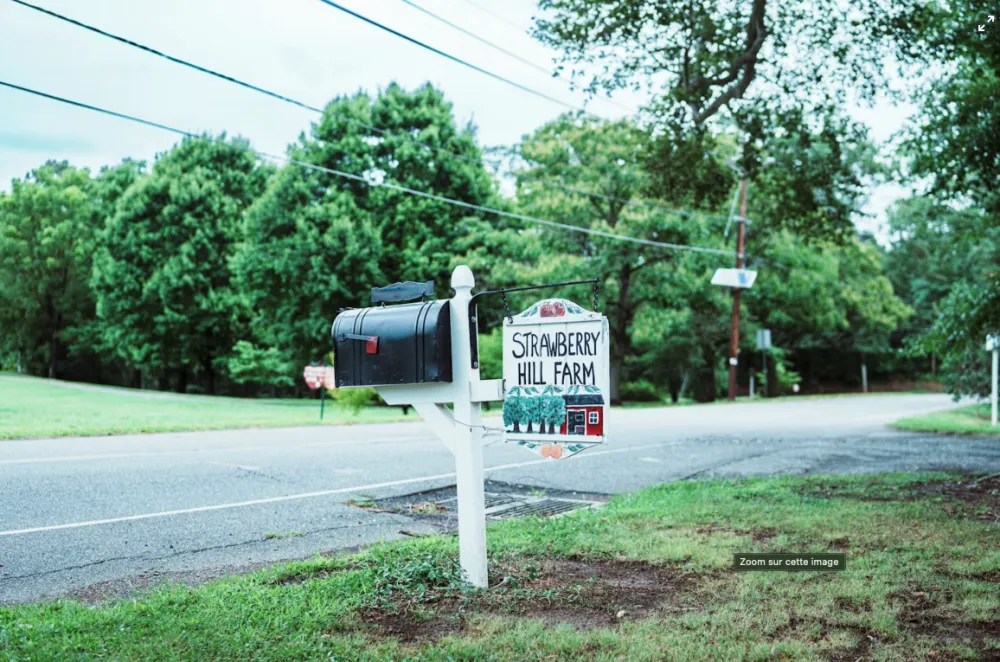 Beauté et Soins Holistiques